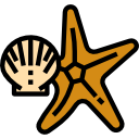 estrella de mar