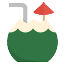 bebida de coco icon