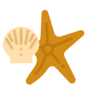 Морская звезда 