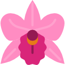 orquídea 