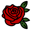 rosa 