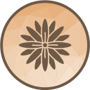 chrysantheme 