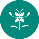 ixora icon