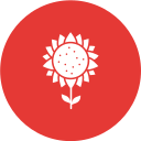 girasol icon