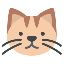 gato icon