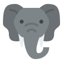 elefante