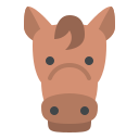 caballo icon