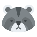 mapache icon