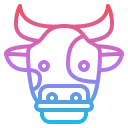 vaca