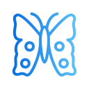 mariposa icon