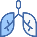 pulmones 