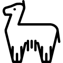 circo llama icon