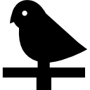 pájaro icon