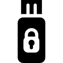 pendrive seguro icon