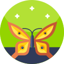 mariposa icon