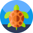 tortuga icon