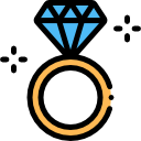 anillo icon