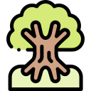 Árbol de la vida icon