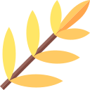 palmera icon