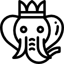 elefante 