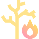 fuego icon