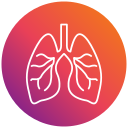 pulmones icon