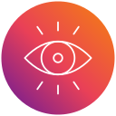 ojo icon