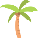 palmera icon