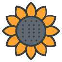 girasol 