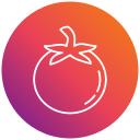 tomate icon