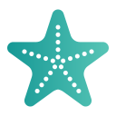 estrella de mar icon