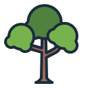 Árbol icon