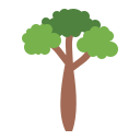 Árbol