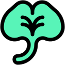 ginkgo icon