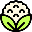 coliflor icon