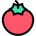 tomate icon