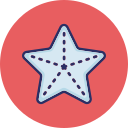 estrella de mar icon