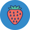 fruta icon