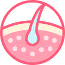 epidermis icon