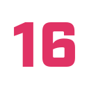 16 icon