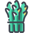 spargel 