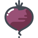 비트 