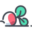 rabanete 