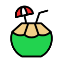 coco icon