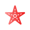 estrella de mar icon