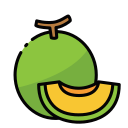 melón icon