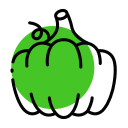 calabaza icon