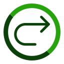 flecha correcta icon