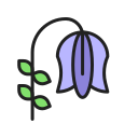 campanilla icon