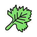 cilantro icon